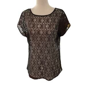 Ann Taylor Brown & Black Lace Unlined Shirt Women Top Petite Size XS | 32-8